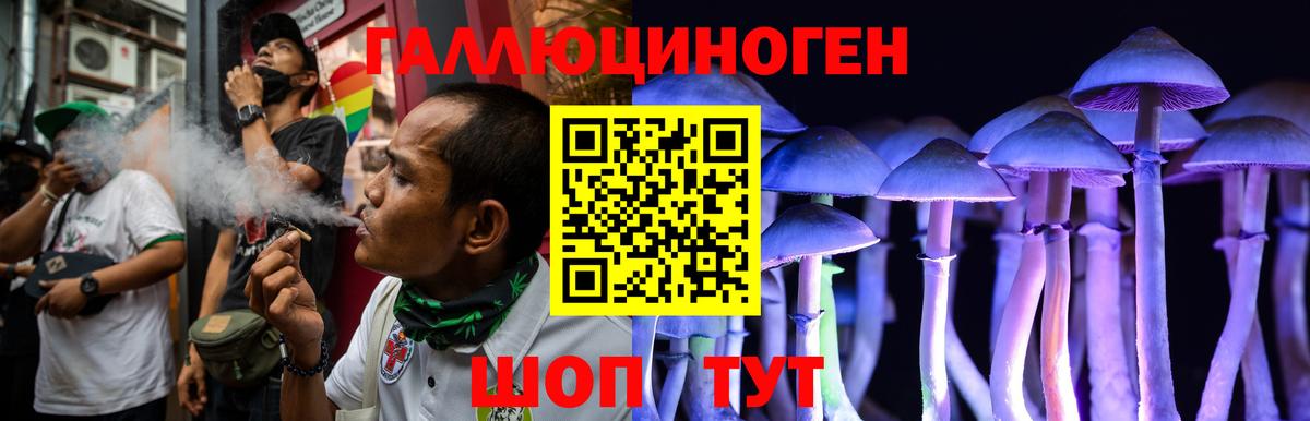 Лабинск  Галлюциногенные грибы прущие грибы  Вход с VPN 